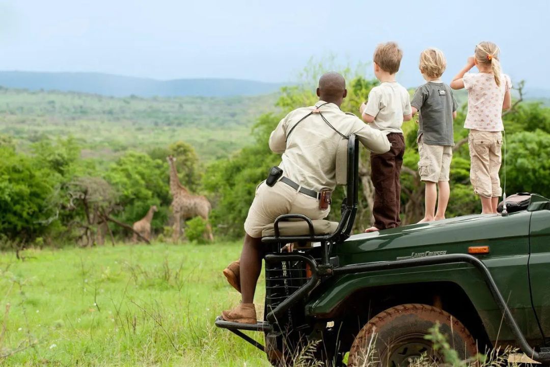 Ultimate Family Safari
